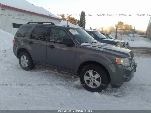 Ford Escape (2010)