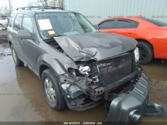 Ford Escape (2010)