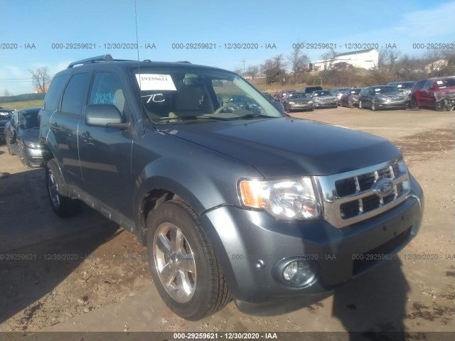 Ford Escape (2010)