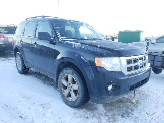 Ford Escape xlt (2010)