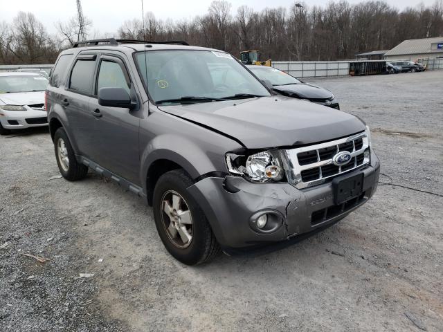 Ford Escape xlt (2010)