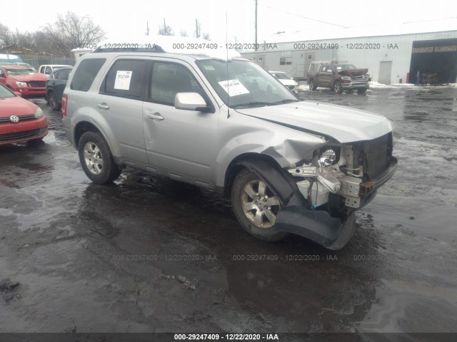 Ford Escape (2010)