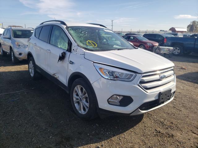 Ford Escape sel (2019)