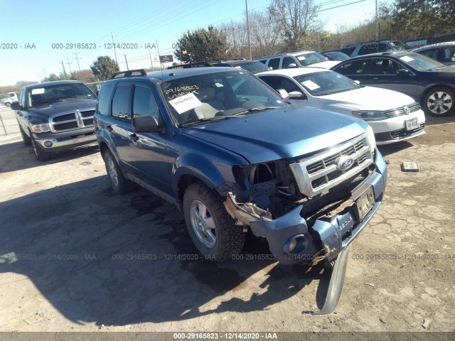 Ford Escape (2010)