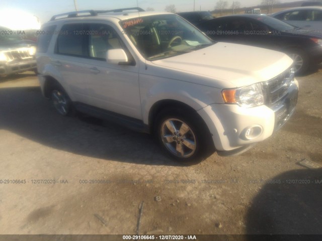 Ford Escape (2010)