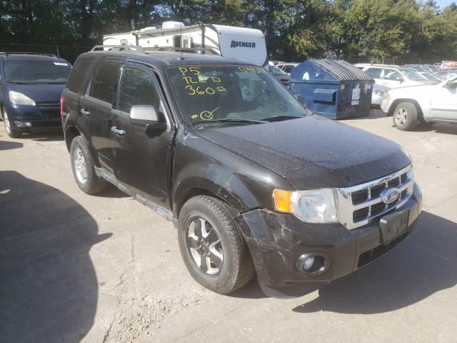 Ford Escape xlt (2011)