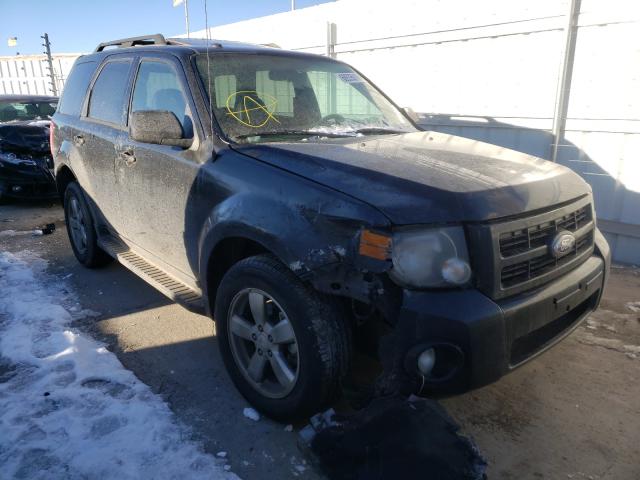 Ford Escape xlt (2010)