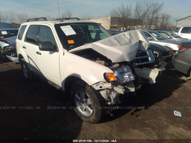 Ford Escape (2010)