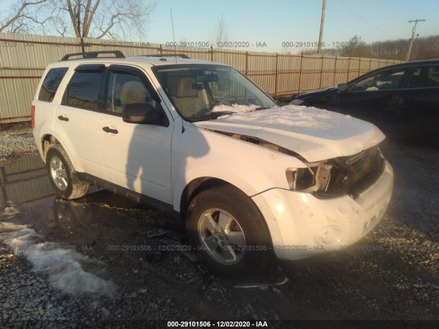 Ford Escape (2011)
