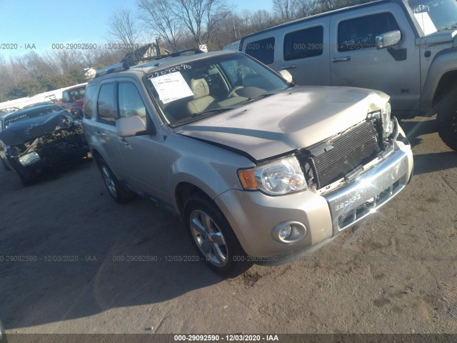 Ford Escape (2011)