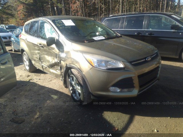 Ford Escape (2014)