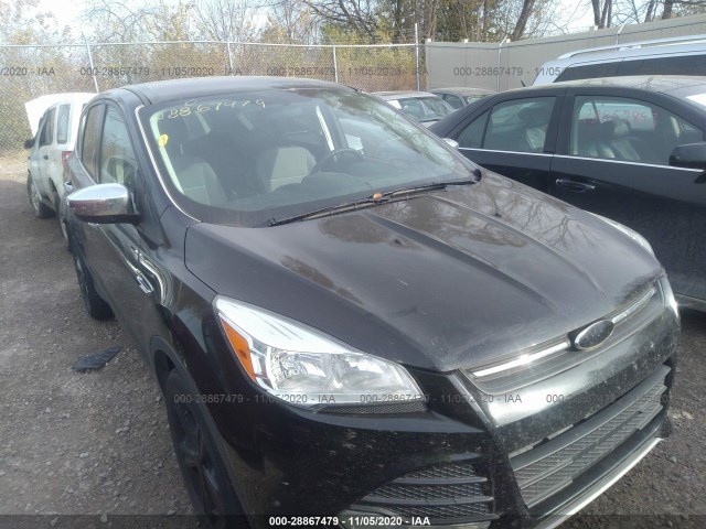 Ford Escape (2014)