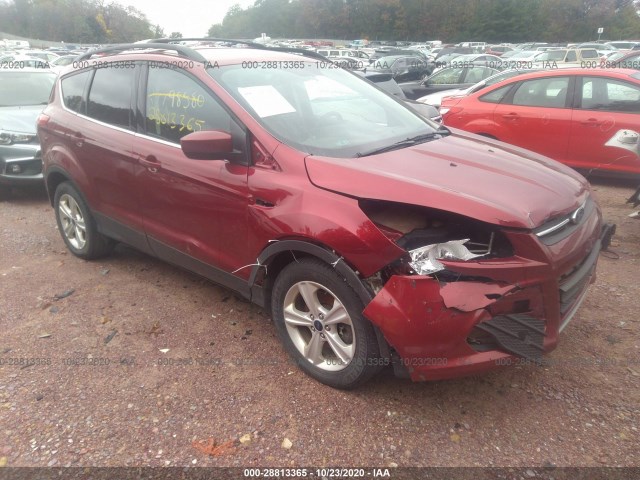 Ford Escape (2016)