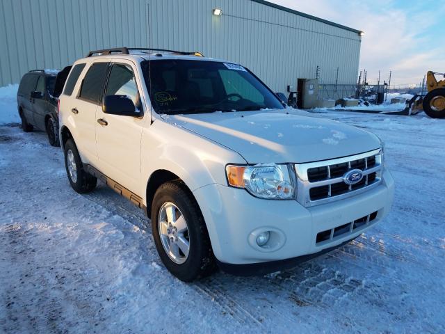 Ford Escape xlt (2011)