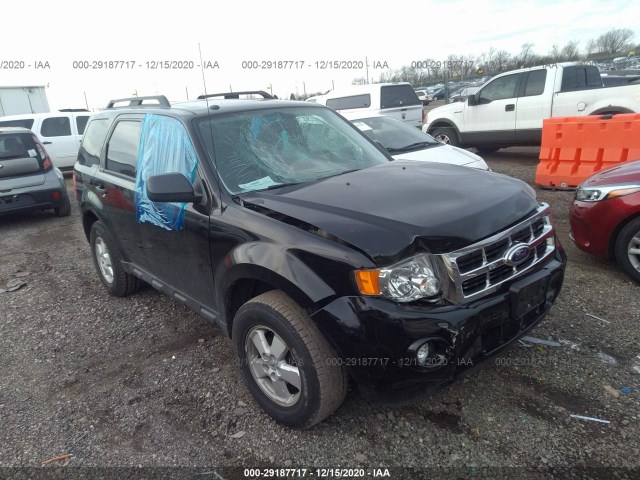 Ford Escape (2010)