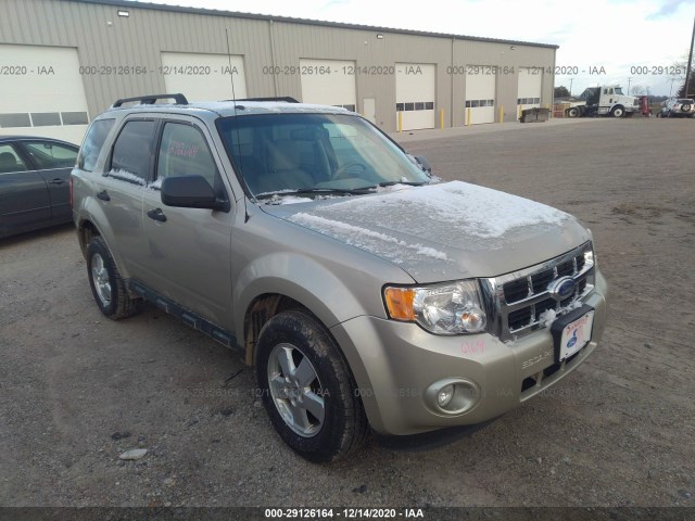 Ford Escape (2011)