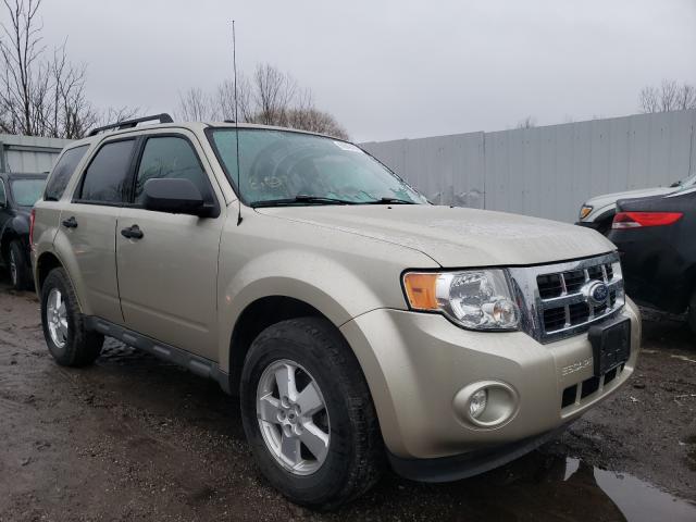 Ford Escape xlt (2010)