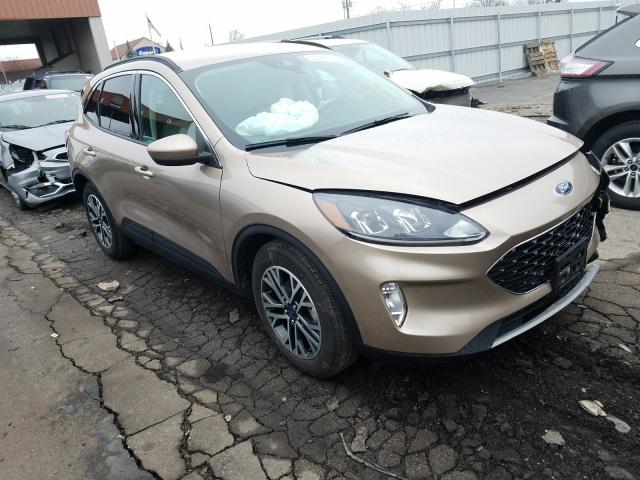 Ford Escape sel (2020)