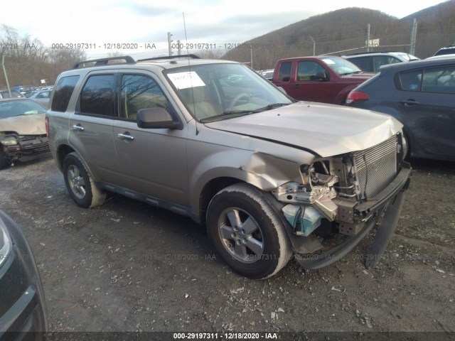 Ford Escape (2010)
