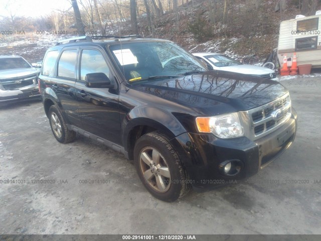 Ford Escape (2012)
