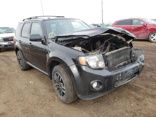 Ford Escape xlt (2011)