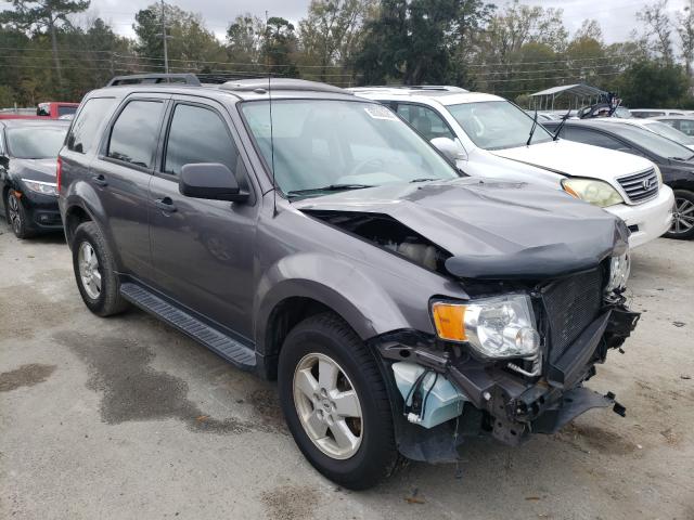 Ford Escape xlt (2011)