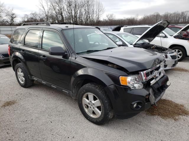 Ford Escape xlt (2011)