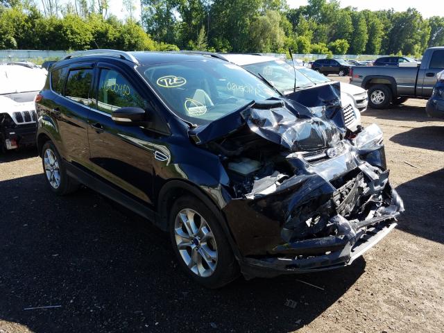 Ford Escape tit (2014)