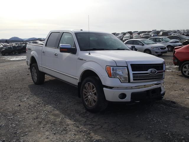 Ford F-150 (2010)
