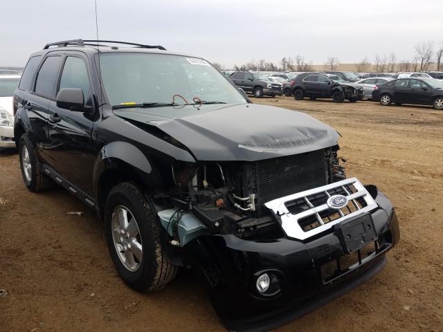 Ford Escape xlt (2010)