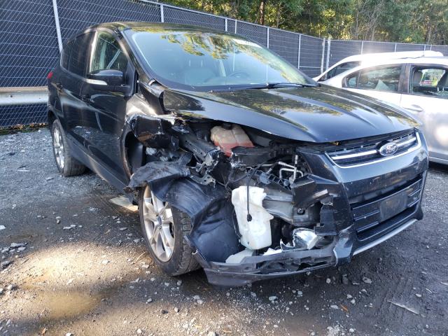 Ford Escape sel (2013)