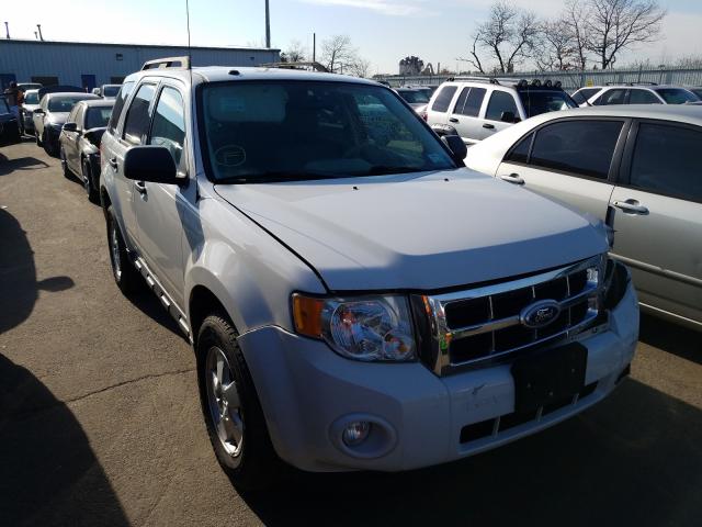 Ford Escape xlt (2010)