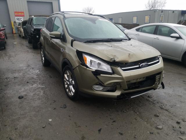 Ford Escape sel (2013)