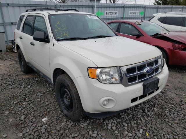 Ford Escape xlt (2011)