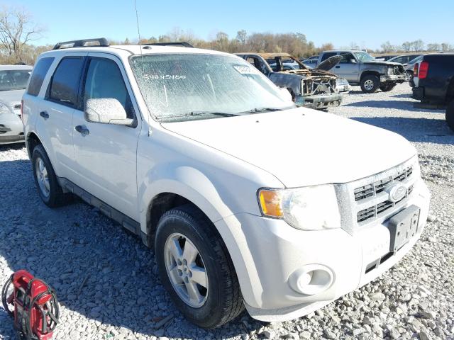 Ford Escape xlt (2011)