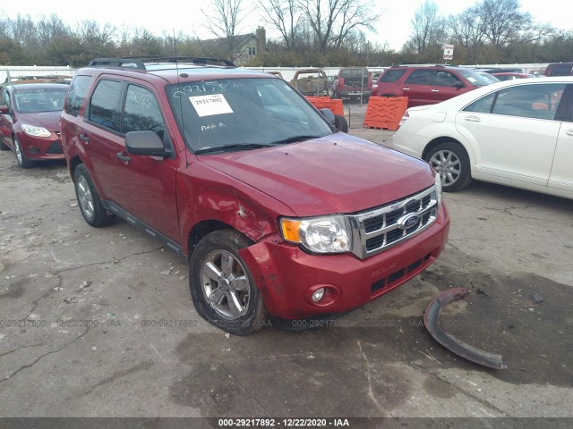 Ford Escape (2010)