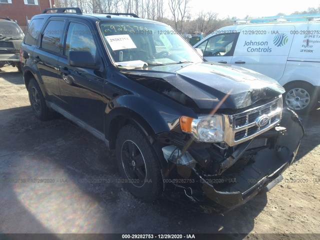 Ford Escape (2010)