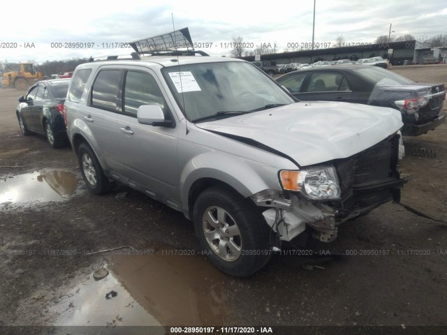 Ford Escape (2010)
