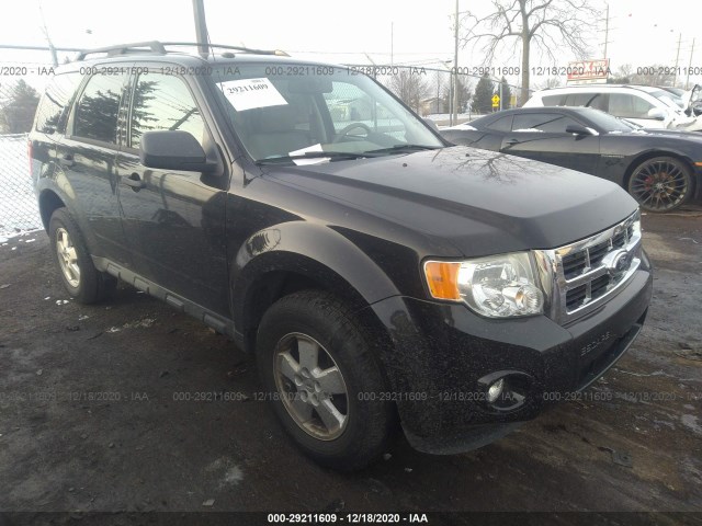 Ford Escape (2011)