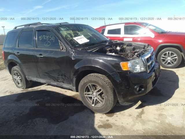 Ford Escape (2011)