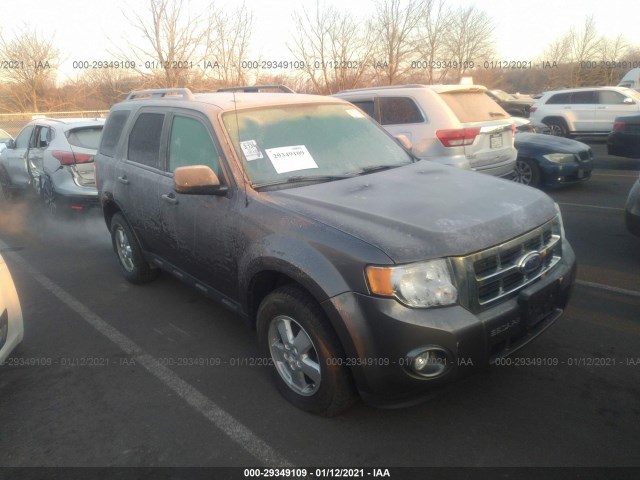 Ford Escape (2011)