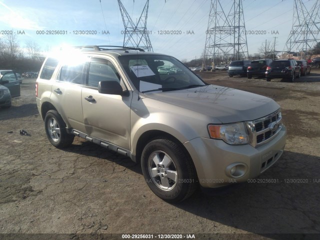 Ford Escape (2011)