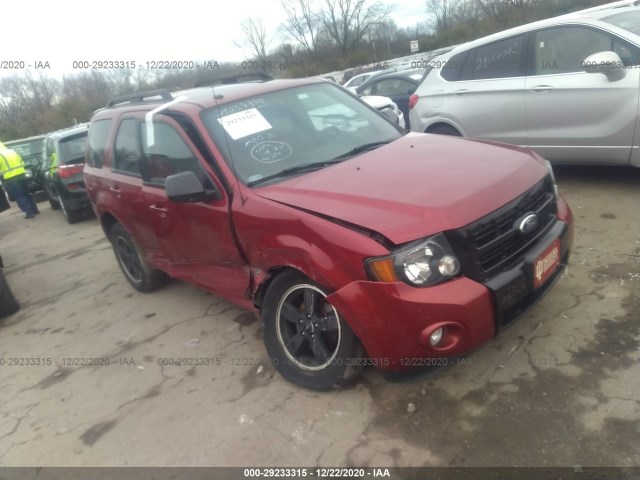 Ford Escape (2012)
