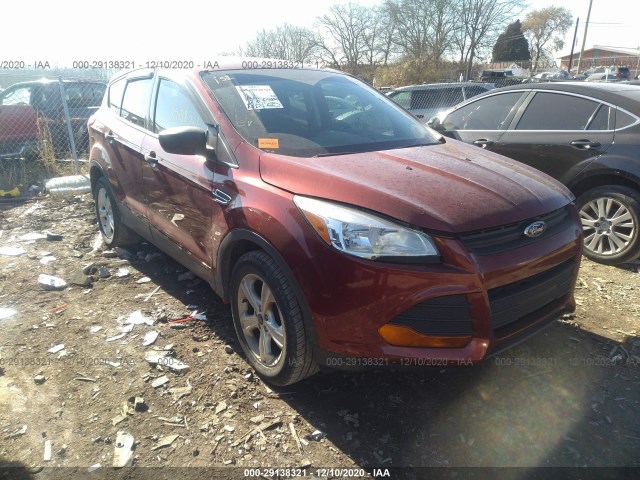 Ford Escape (2014)