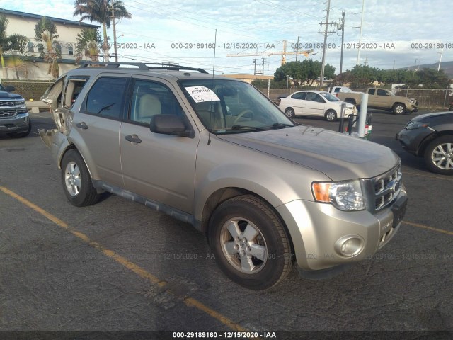 Ford Escape (2010)