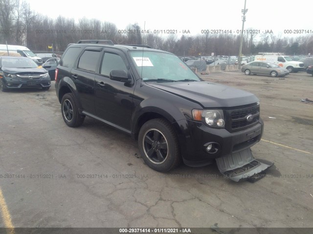 Ford Escape (2010)
