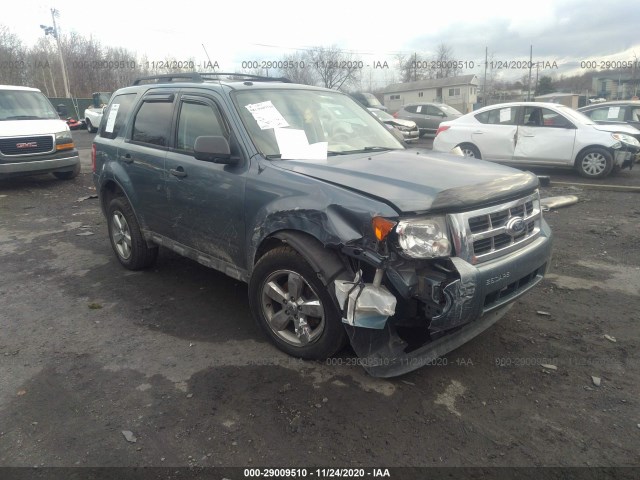 Ford Escape (2010)