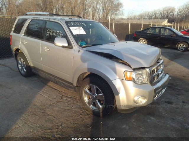 Ford Escape (2010)