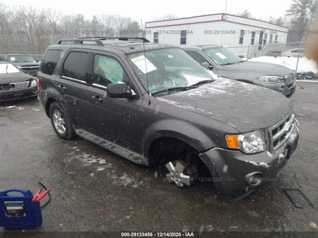 Ford Escape (2011)