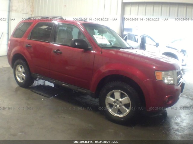 Ford Escape (2011)